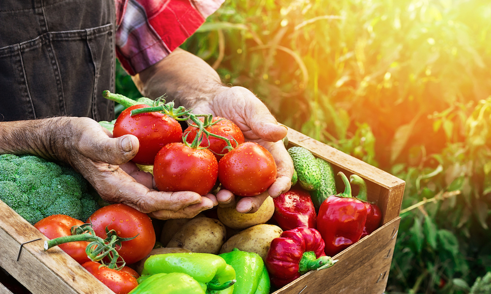 East Bay fresh: Grand Lake Farmers Market Hero